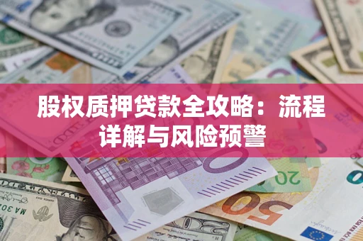 北京股权质押贷款全攻略：流程详解与风险预警