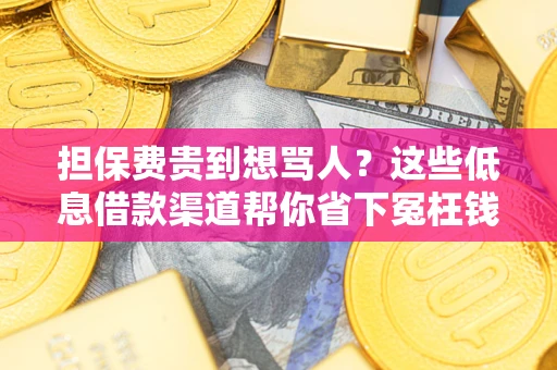 北京担保费贵到想骂人？这些低息借款渠道帮你省下冤枉钱