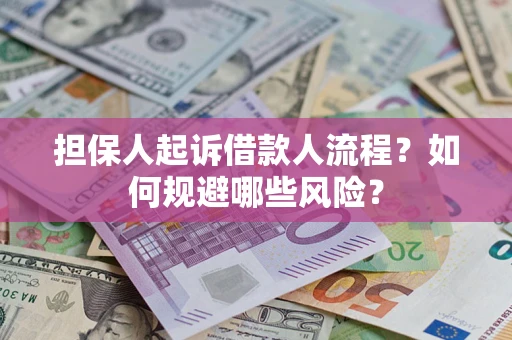 北京担保人起诉借款人流程？如何规避哪些风险？