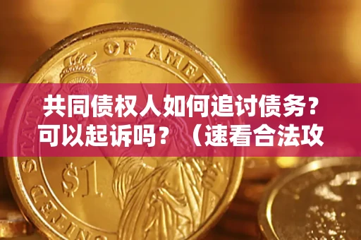 北京共同债权人如何追讨债务？可以起诉吗？（速看合法攻略）