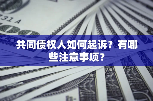 北京共同债权人如何起诉？有哪些注意事项？